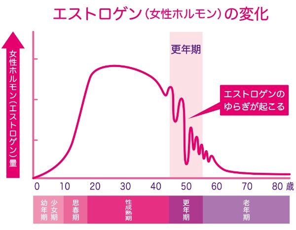 ホルモンバランス説明図
